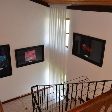 Vila Delfin Ohrid Kültér fotó