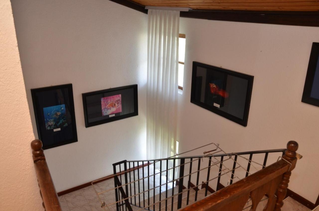 Vila Delfin Ohrid Kültér fotó
