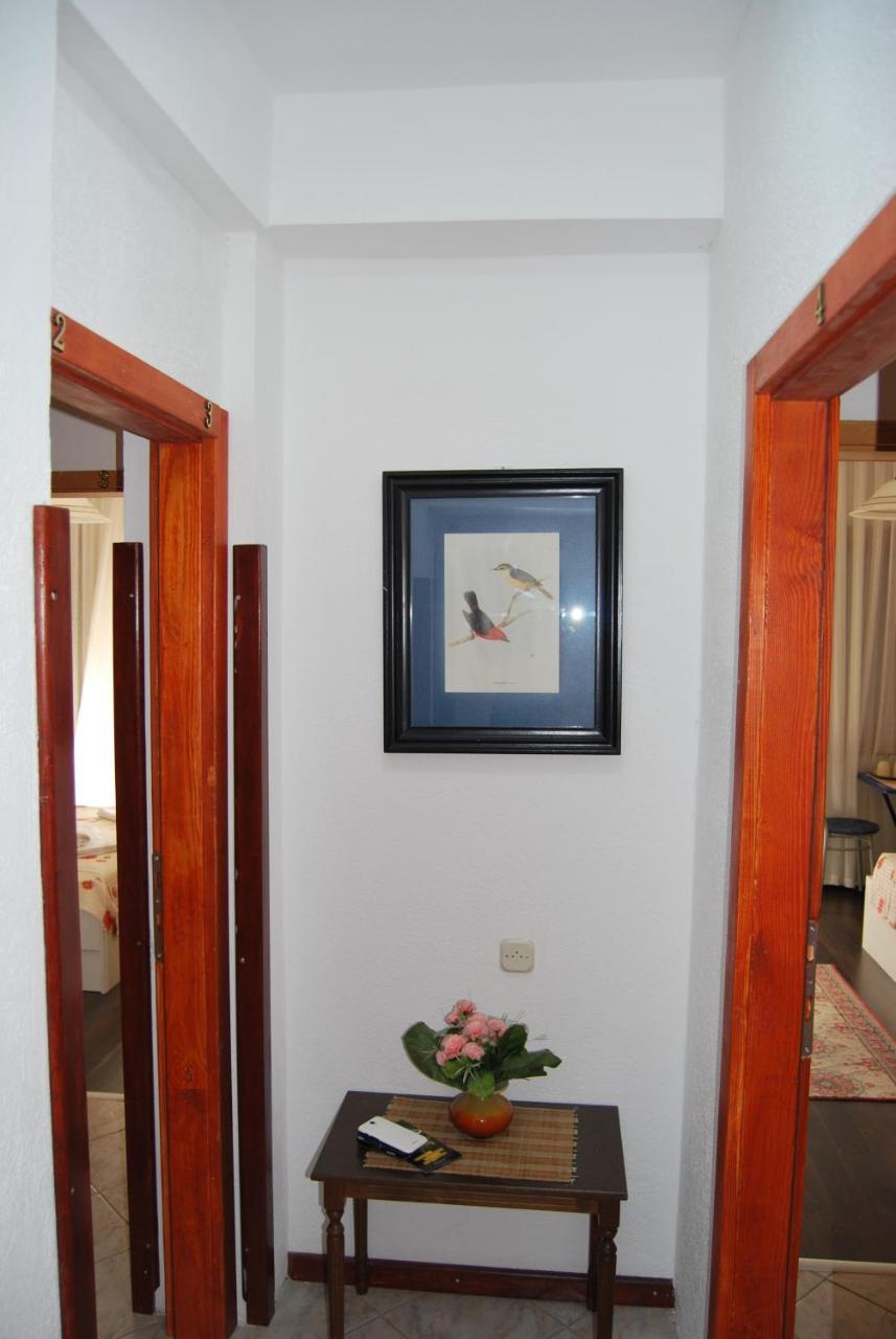 Vila Delfin Ohrid Kültér fotó